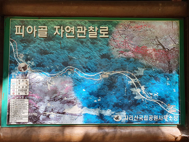 삼홍의 단풍이 아름다운 지리산 피아골 자연관찰로