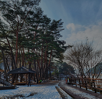 한국관광100선 구례 천은사 상생의 길 및 소나무숲길