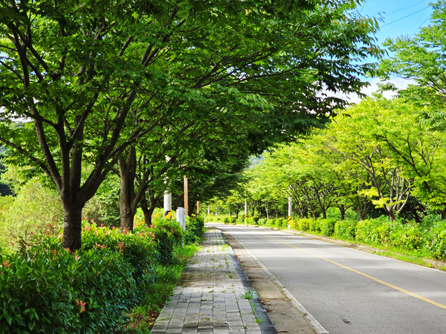 지리산 호수공원 구만저수지 둘레길과 백의종군로