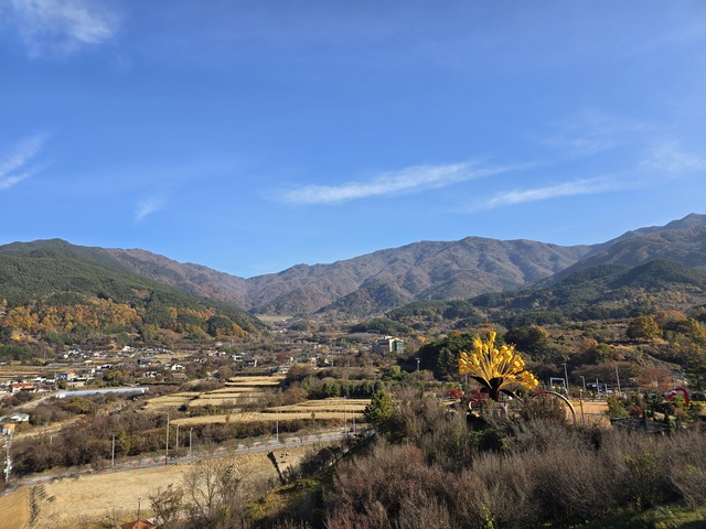 산수유 열매가 익어가는 산수유 마을길